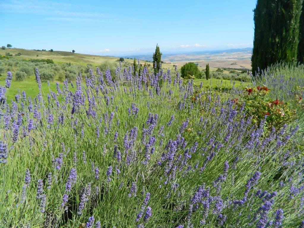 Le Rogheta Villa Campiglia dʼOrcia Kültér fotó