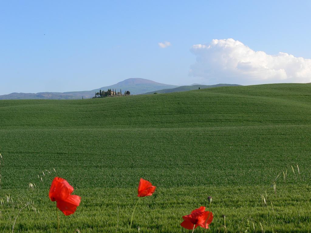 Le Rogheta Villa Campiglia dʼOrcia Kültér fotó